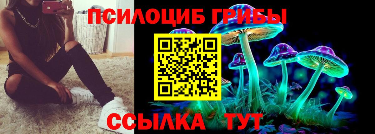 Псилоцибиновые грибы прущие грибы  Вход с VPN  Белебей 